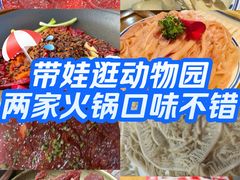 -成都动物园