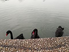 -南京财经大学(仙林校区)