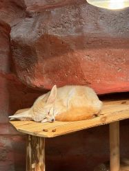 -Zoolung Zoolung动物主题公园(海信广场店)