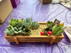 -大美母婴月子中心