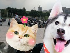 门面-吉林省图书馆