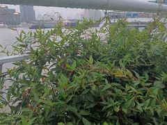 -三利音·浦之舟(滨江大道店)