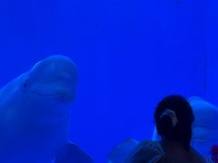 -多彩贵州城极地海洋世界