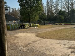 -前小桔亲子创意农场·草莓采摘·露营烧烤