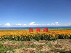 -青海湖国家重点风景名胜区