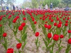 -长春公园(普阳街道)