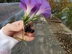 -穆湖渔村饭庄·住宿·钓鱼