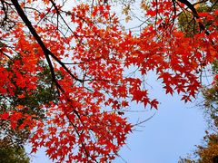 -东钱湖旅游度假区