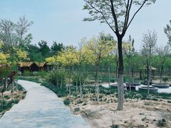 -西青郊野公园