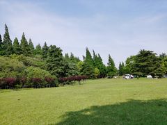 -上海滨江森林公园