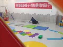 -金色雨林学习力培优(专注力提升)