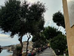 -上巴拉卡花园和下巴拉卡花园