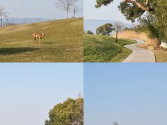 -良渚古城遗址公园