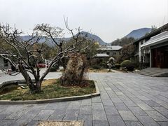 -品湘宴·湖南宁乡菜