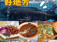 -千岛湖小鱼儿·淳安匠心农家菜