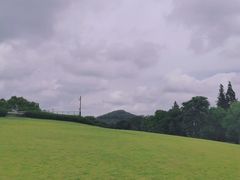 -上海佘山世茂艾美酒店