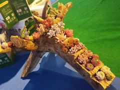 -甘肃国际会展中心