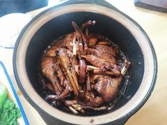 姜母鸭-百家春好德来姜母鸭