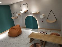 -飞行喵MR PILOT|猫舍·猫咖(静安大融城店)