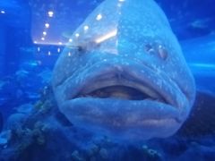 -成都浩海立方海洋公园