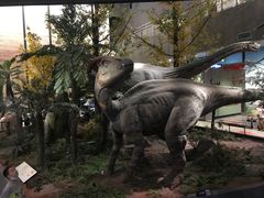 -湖南省地质博物馆