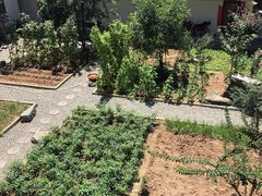 -柞水乾佑红门家菜