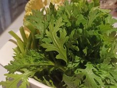 -海底捞火锅(长宁路龙之梦店)
