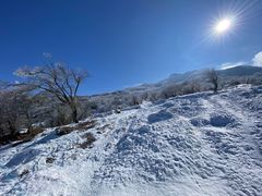 -太子岭滑雪场