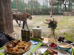 -上海野生动物园老虎餐厅