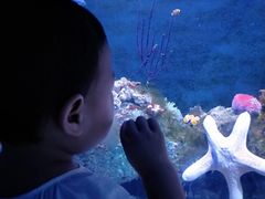 -成都浩海立方海洋公园