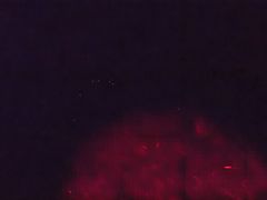 -芦沟竹海
