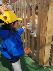 -萌宠亲子动物乐园(槐房万达店)