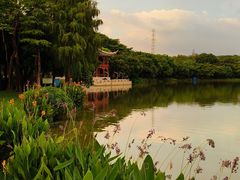 -顺峰山公园