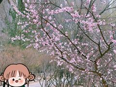 -青城公园