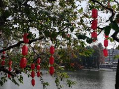 -荔湾湖公园