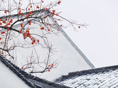 -北寺塔