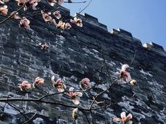 -东华门大街小区