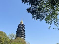 -红梅公园