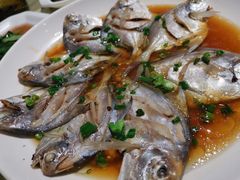 清蒸小鲳鱼-阿莉餐厅(枣阳路店)