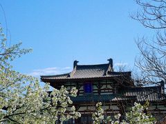 -西安青龙寺遗址景区