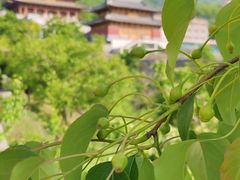 -天津盘山风景名胜区