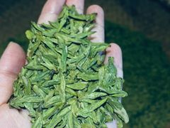 -阿巧茶庄