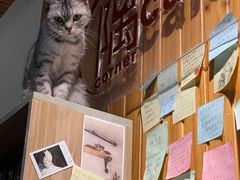 -隅cafe(傅厚岗店)