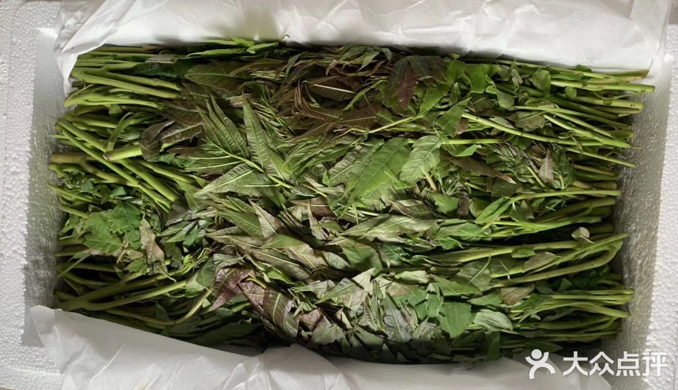 自制香椿酱