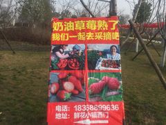 -南通鲜花小镇