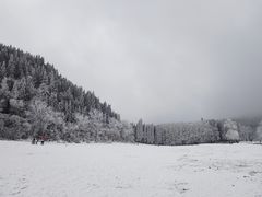 -武陵山森林公园