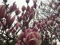 -艾溪湖湿地公园