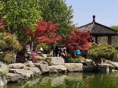 -中国唐苑
