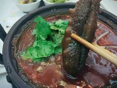 -鱼翅楼·津派砂锅鱼翅(水上公园店)