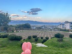 -云禾壹海景庄园餐厅